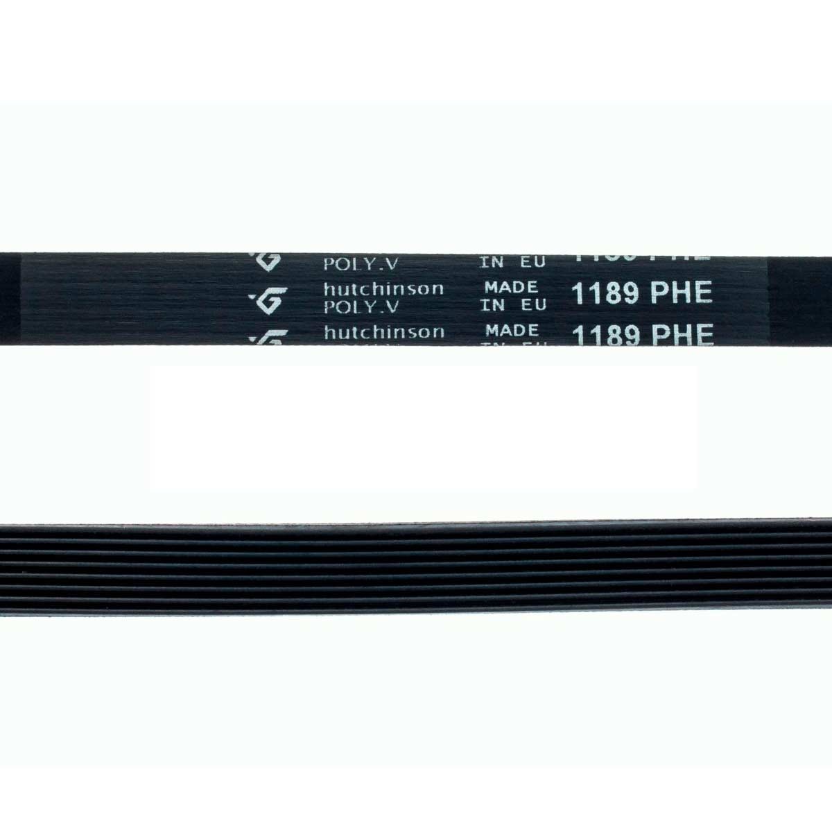 correa-lavadora-1189-phe