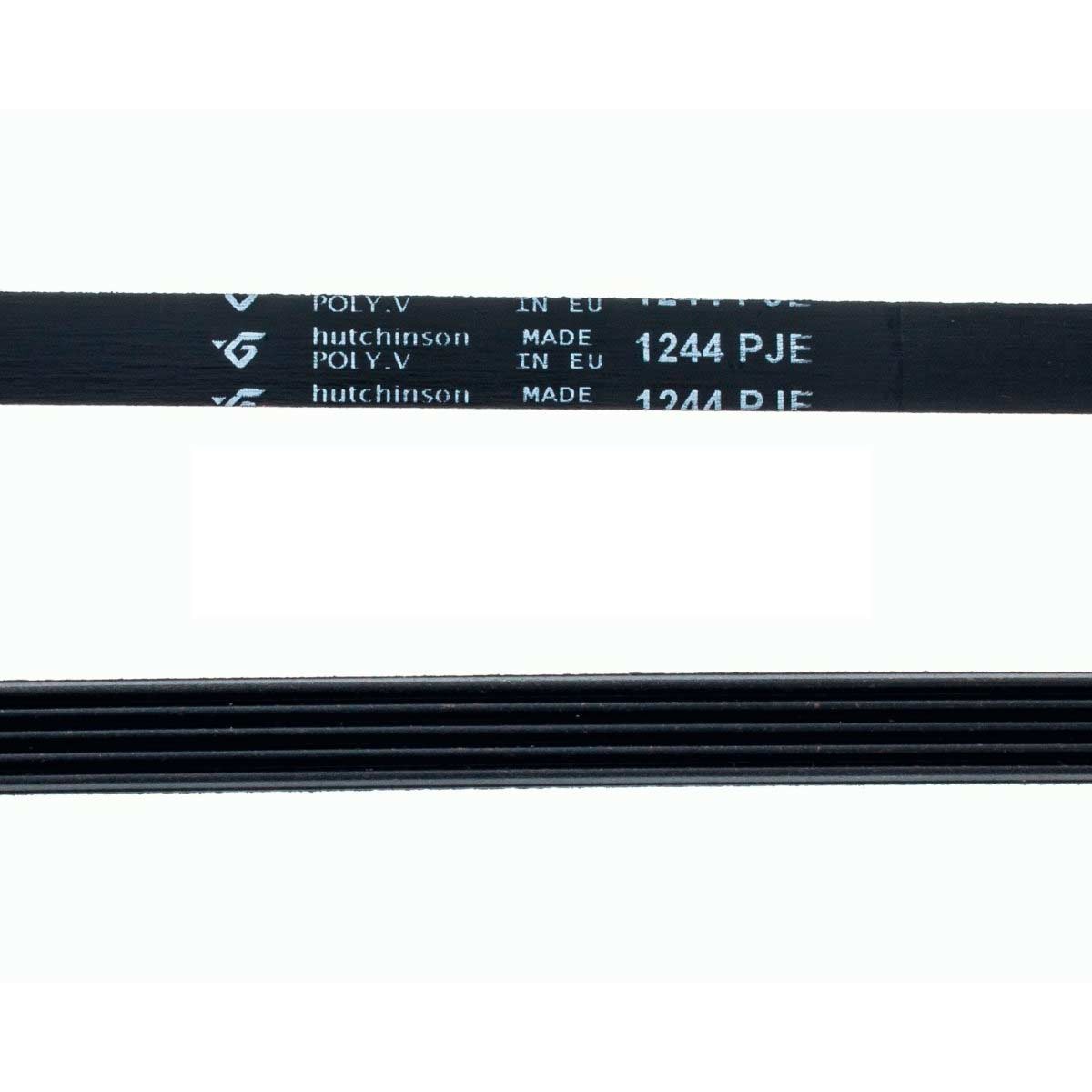 correa-lavadora-1244-pje