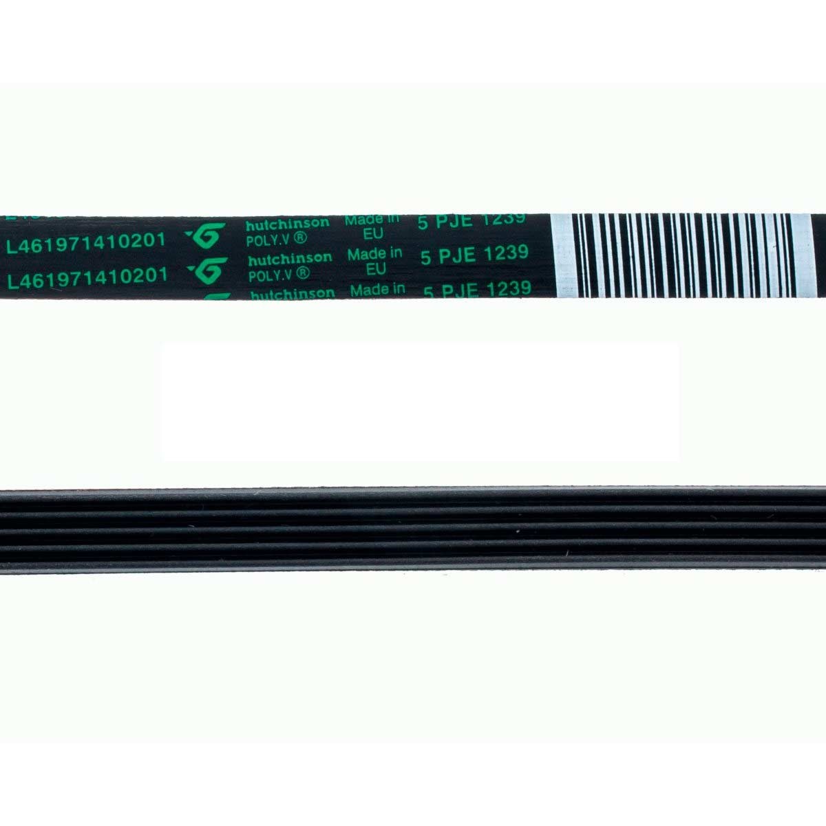 correa-lavadora-5pje-1239-l461971410201