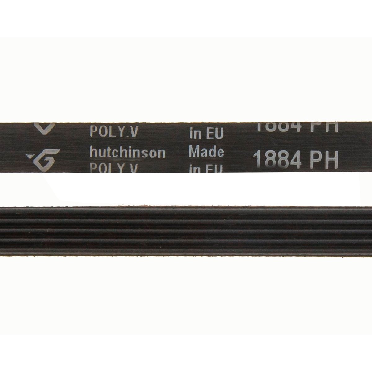 correa-secadora-1884-ph