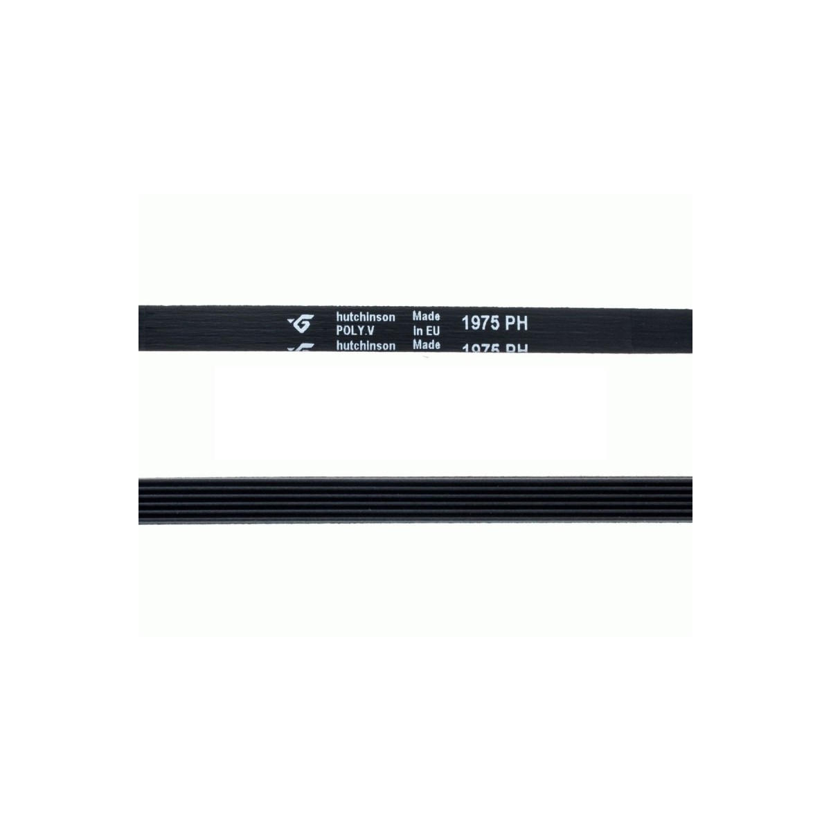 correa-secadora-1975-ph